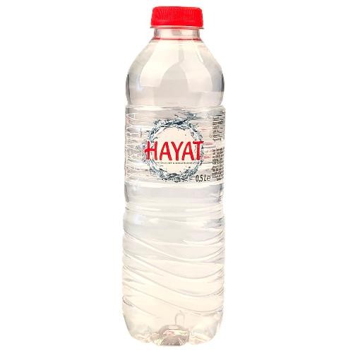 Hayat Wasser 0.5l (EINWEG)