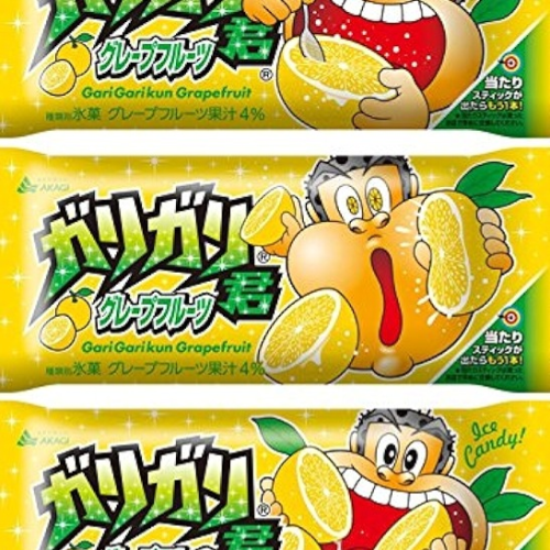 Akagi Garigari-Kun Japan Grapefruit Eis 105ml