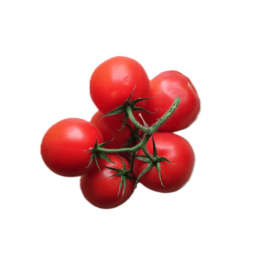 Tomaten 6 Stück (Takitos Express)