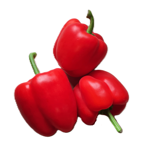 Rote Paprika 3er Pack (Takitos Express)
