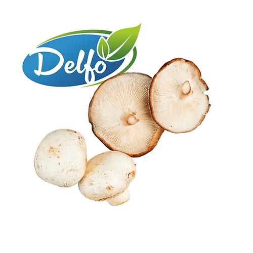 Ganze Steinpilze Extra 200g