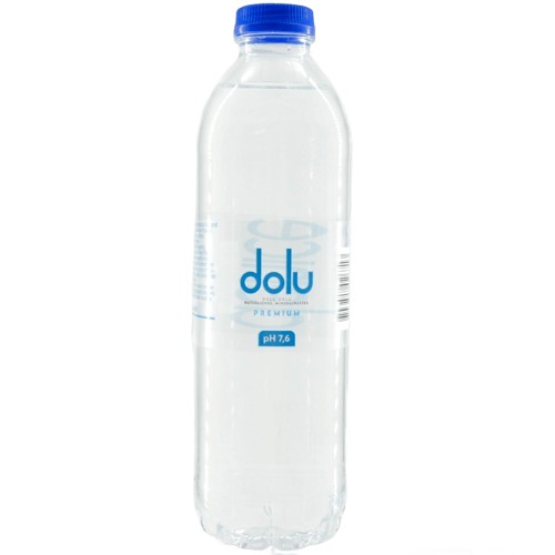 Dolu Wasser 1l (EINWEG)