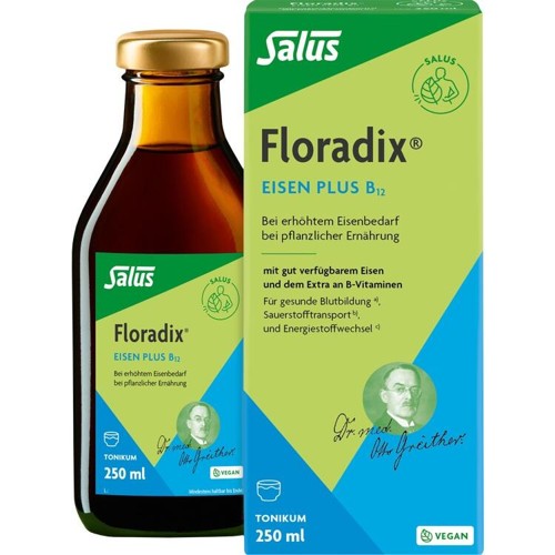Floradix Eisen plus B12 vegan 250 Milliliter