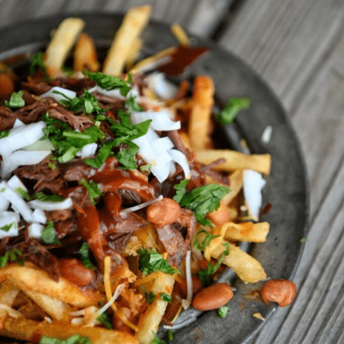 Pulled Pork Fries