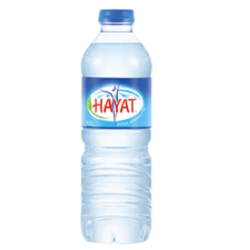 Hayat Natürliches Mineralwasser Naturell 0.5l (EINWEG)