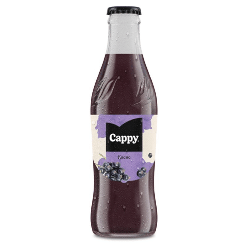 Cappy Schwarze Johannisbeere 250 ml (Glas)