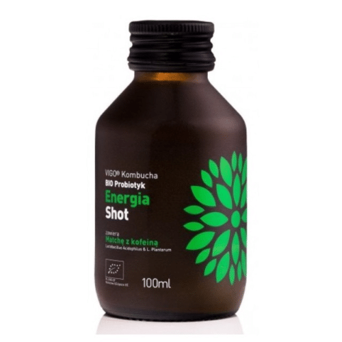 Vigo - Shot kombucha energia b/g Bio 100ml