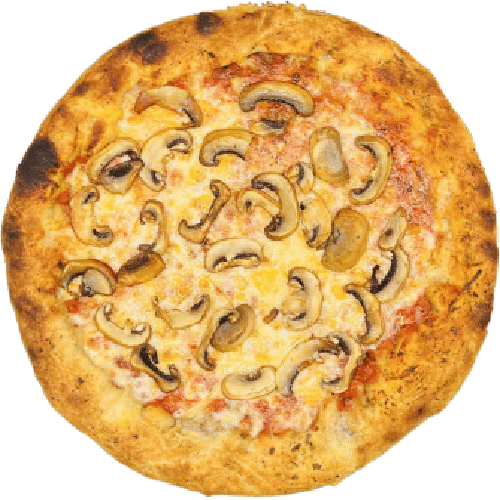 Pizza Funghi
