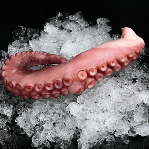 Pulpo Tentakel frisch ca.250g/ ca.3st