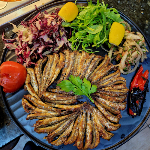 Hamsi