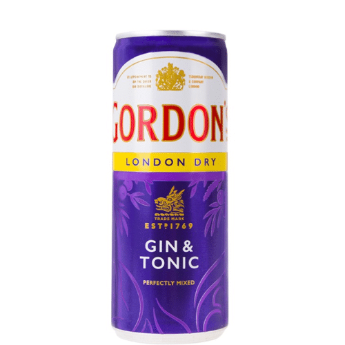 Gordon's & Tonic 0,25l ( Einweg)