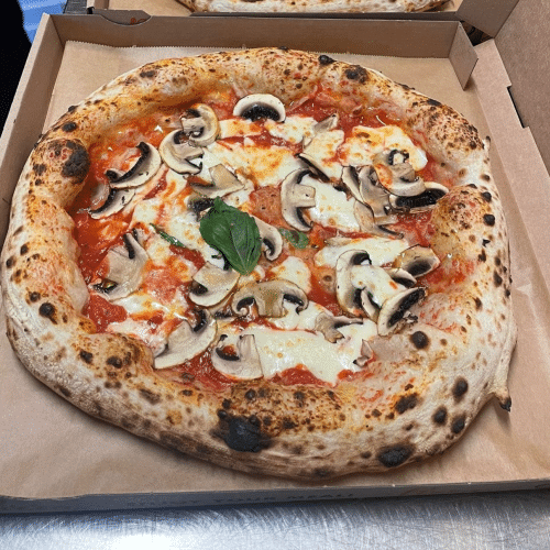Pizza Funghi
