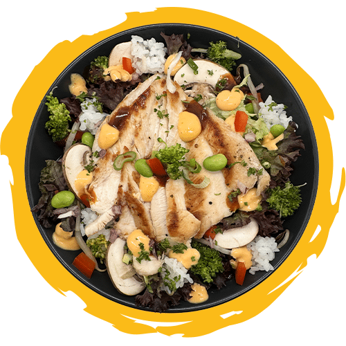 Asia Bowl