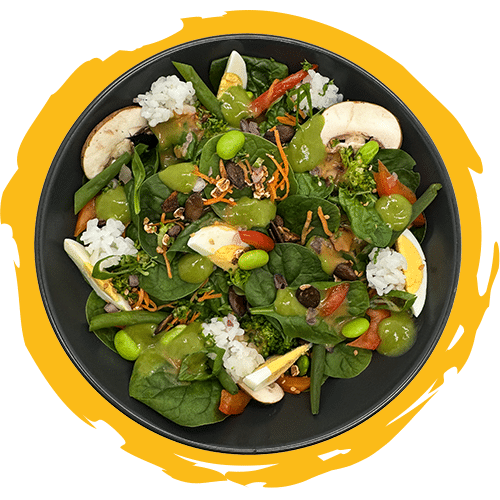 Fitness Bowl