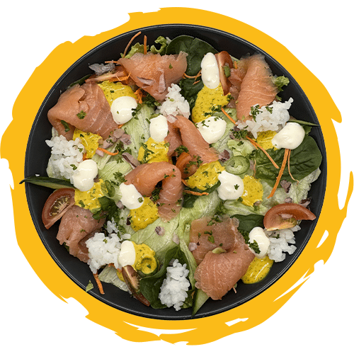 Salmon Bowl