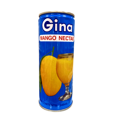 Gina Mangosaft 0,25l (EINWEG)