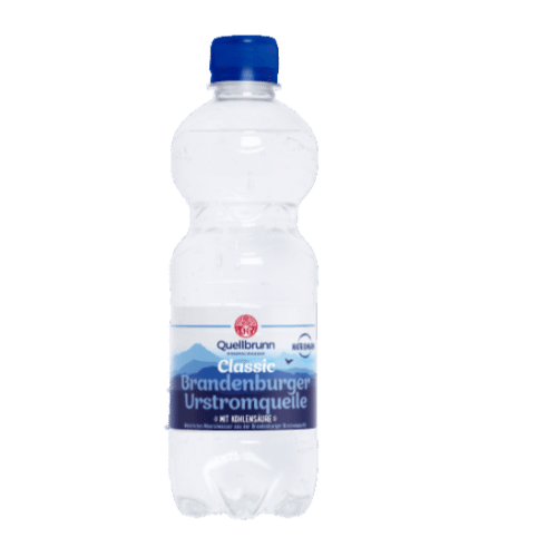 Classic Mineralwasser 0,5l (Einweg)