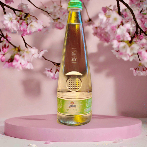 Franken Brunnen Wasser Naturell 0,5l (EINWEG)