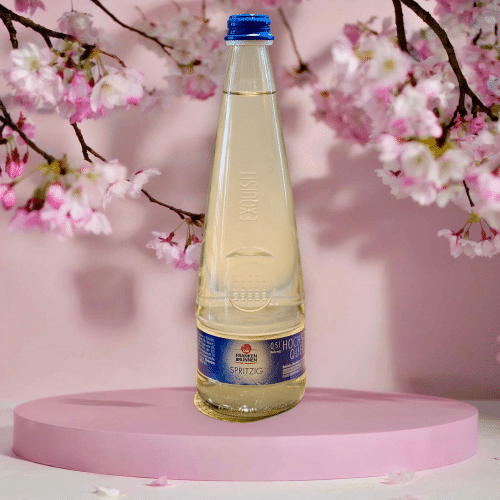 Franken Brunnen Wasser Spritzig 0,5l (EINWEG)
