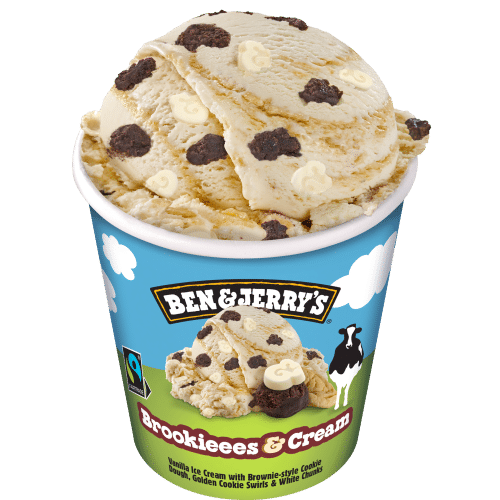 Ben & Jerry's Brookieees & Cream 465ml