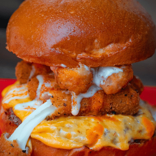 Mozzarella Burger