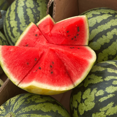 Mini Wassermelonen ca. 1,5-2,5 kg
