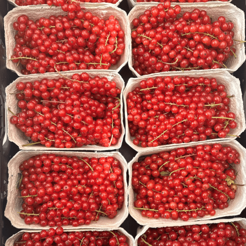 Rote Johannisbeeren ca. 500 g Schale