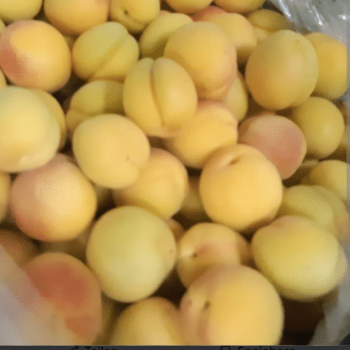Zucker Aprikosen je 100g