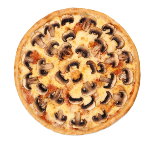 Pizza Funghi