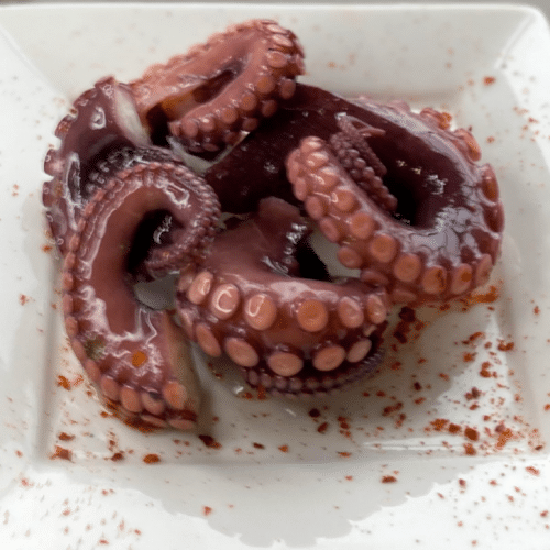 Octopus
