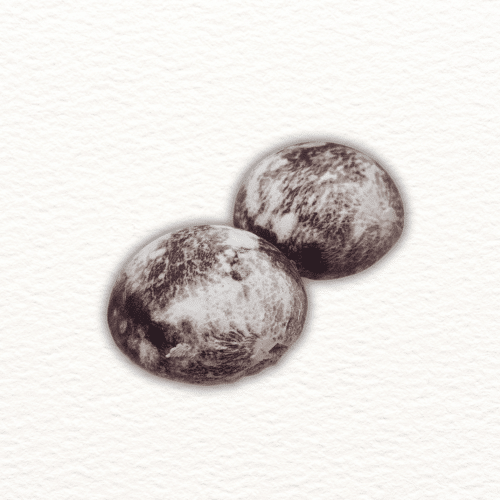 Japanische Mochi mit Taro-Füllung (2 Stück)